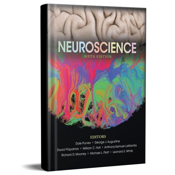 Neuroscience 6th Edition