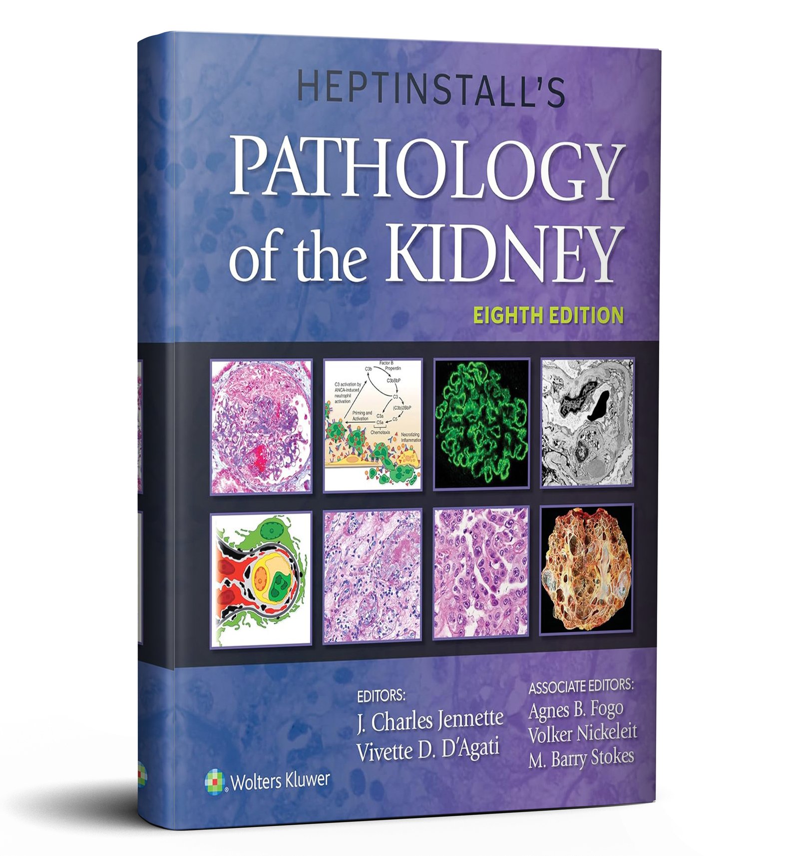 Heptinstall's Pathology of the Kidney 8th Edition